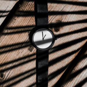 Meridian Steel Watch